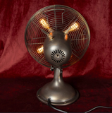 Illuminated Rotating Fan